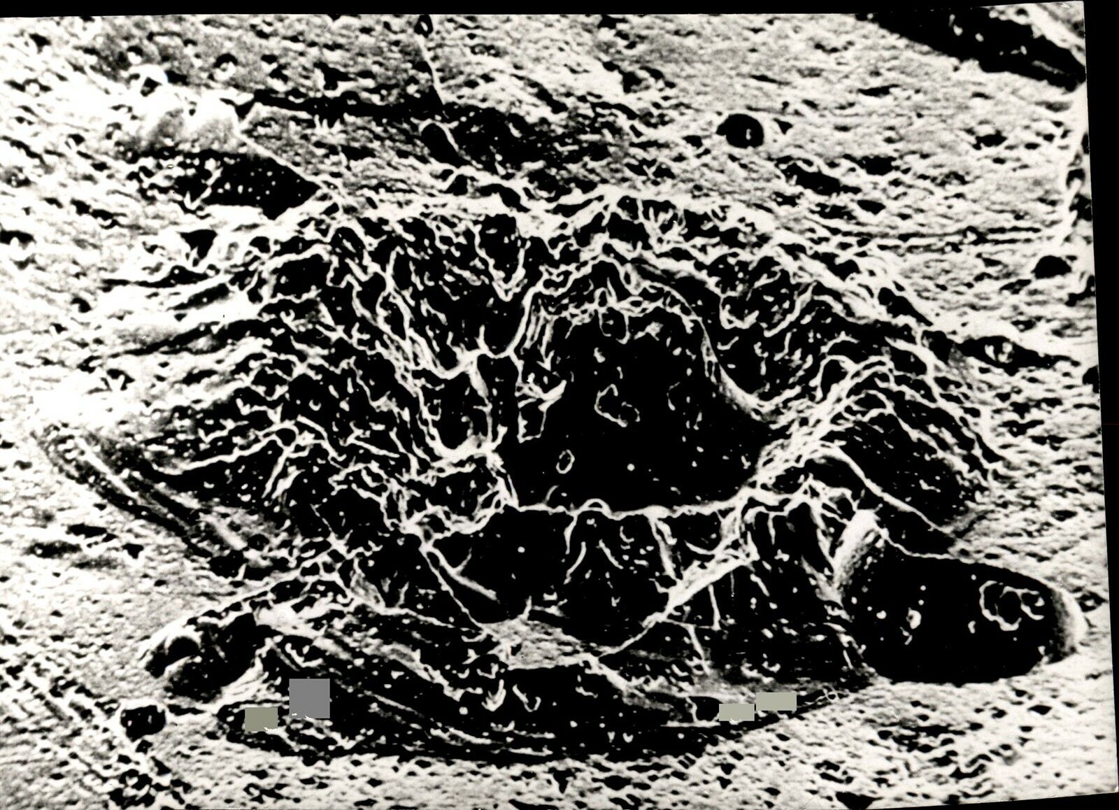 LV37 Original Photo TORTOISE SHELL MOON CRATER Origins of Solar System Formation