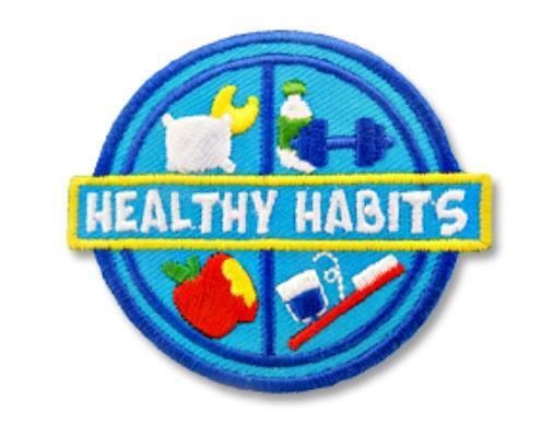 Girl Boy Cub HEALTHY HABITS Fun Patches Badge SCOUT GUIDE Grooming Eating Sleep