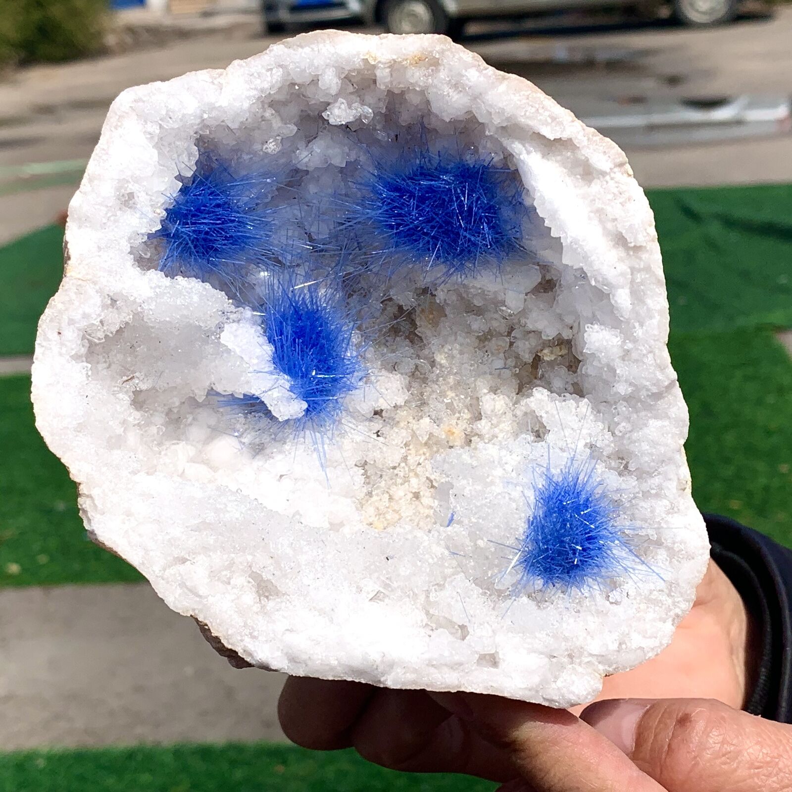 1.67LB Rare Moroccan blue magnesite and quartz crystal coexisting specimen