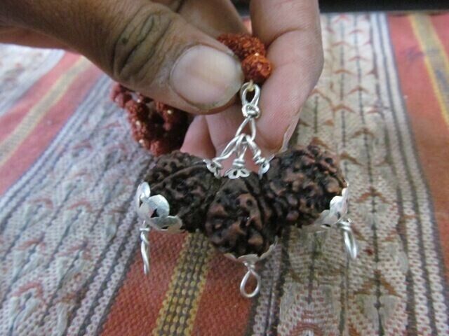 Rare Original trijuti Tridave Brahma Vishnu Mahesh Mukhi Java Beads Rudraksha