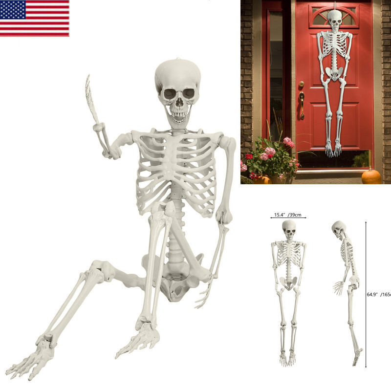 5.4Ft Halloween Skeleton Full Life Size Human Skull Holiday Tricky Haunted Prop 