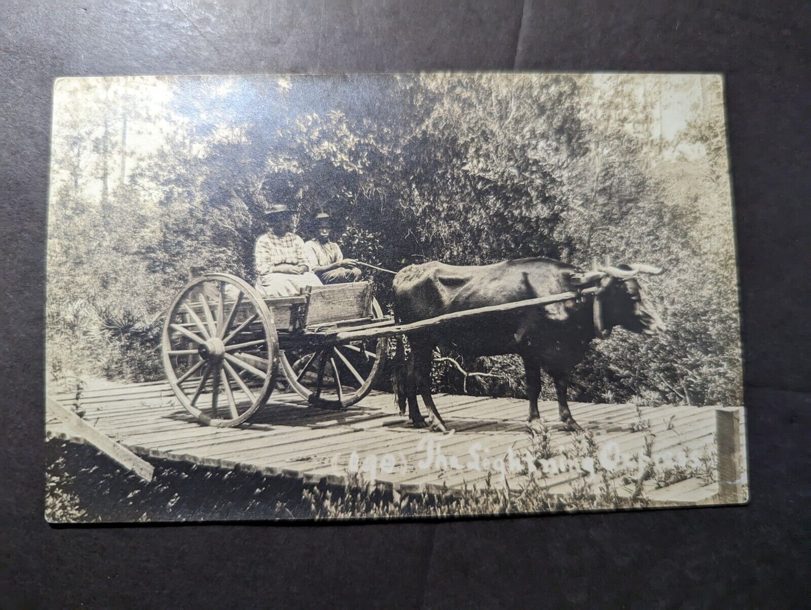 Mint USA RPPC Postcard Bull Wagon The Lightning Express Fairhope AL