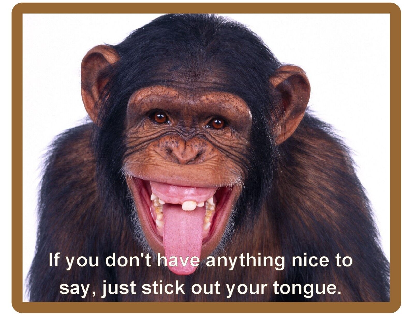 Funny Chimp Monkey Nice Tongue  Refrigerator / Tool  Box / Locker  Magnet