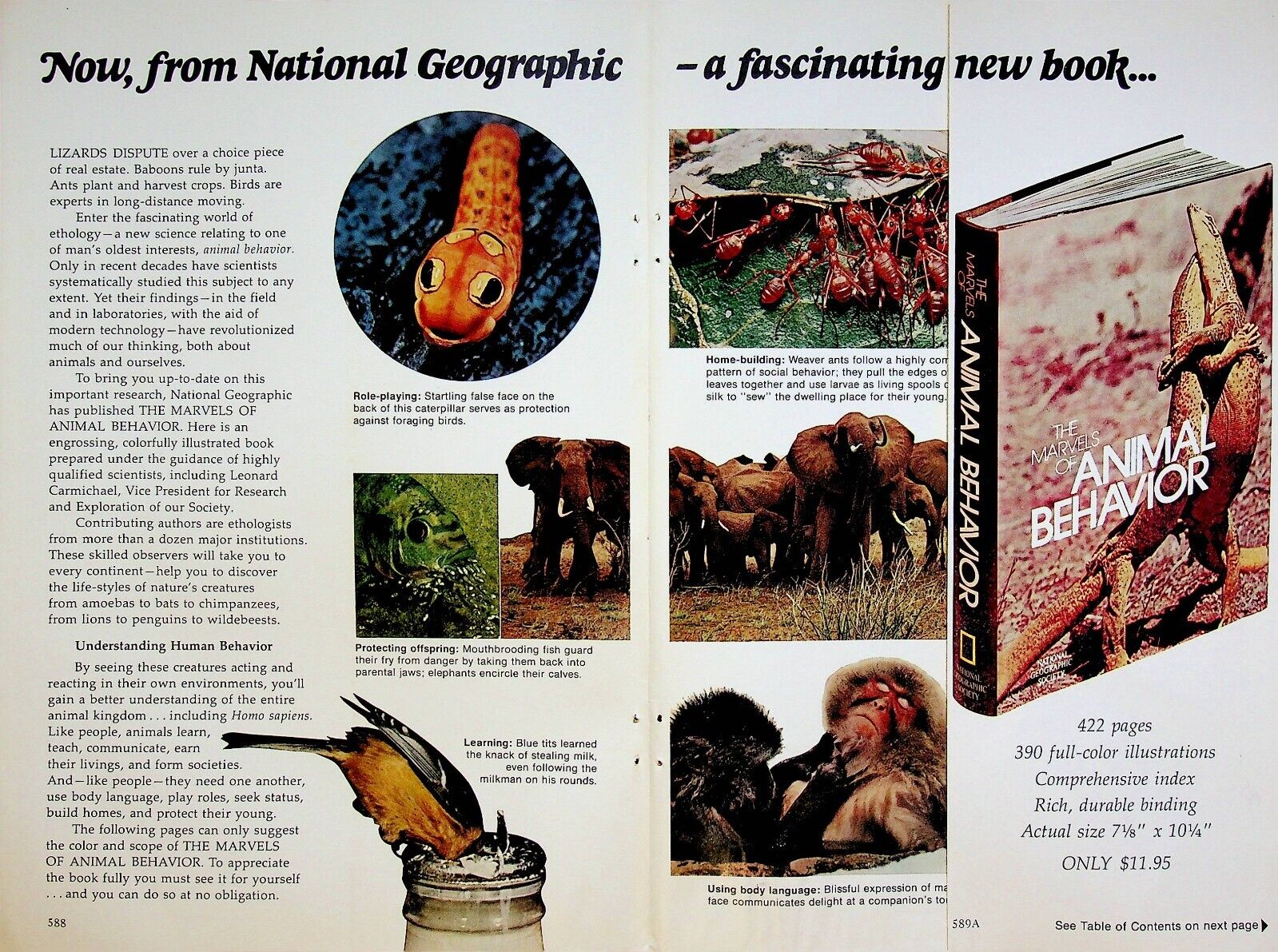 1972 Marvels of Animal Behavior Book 70s Print Ad National Geographic Society