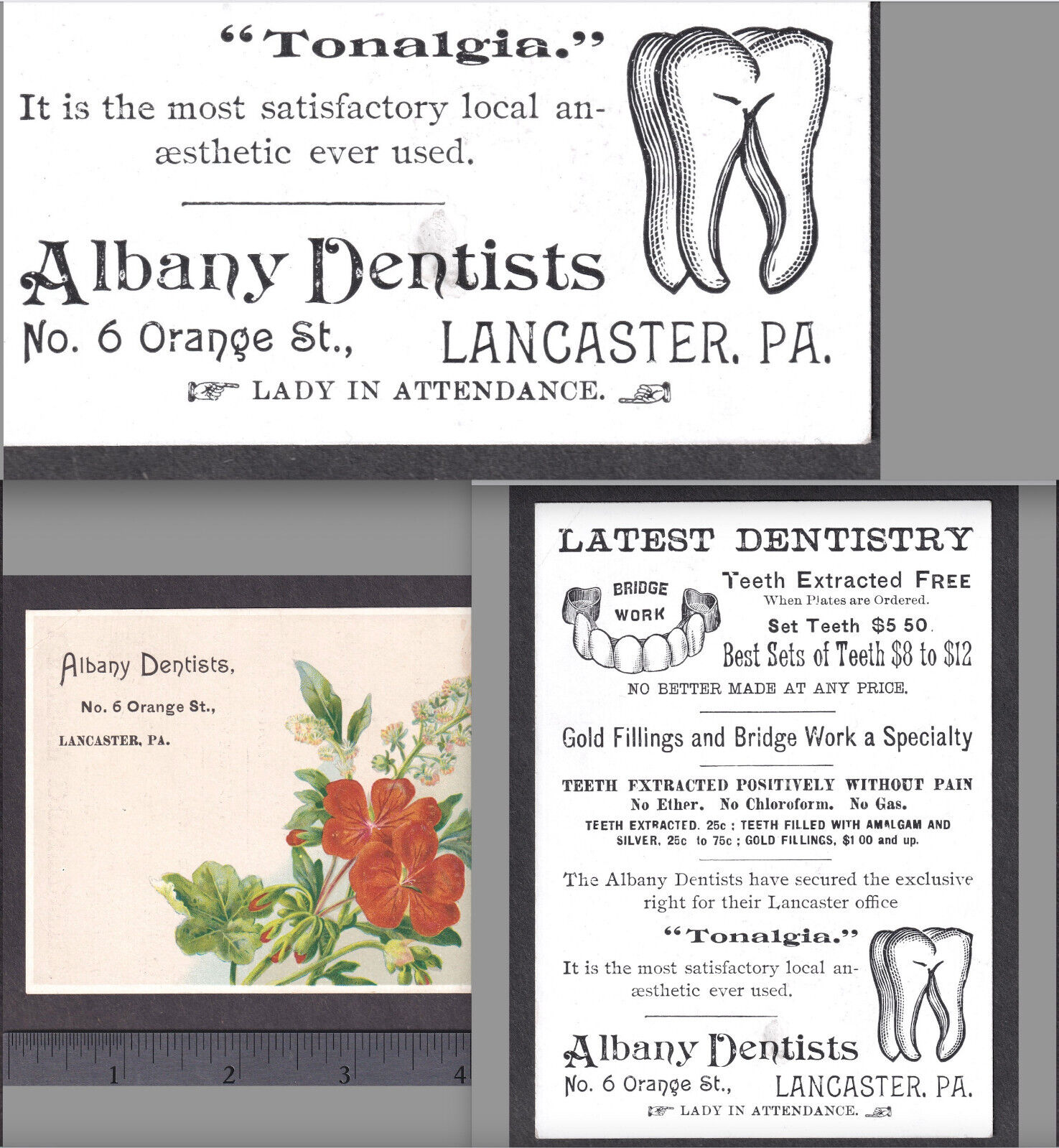 Tonalgia Cocaine 1800's Teeth Extracted w/o Pain Dentist Tooth Dental Trade Card
