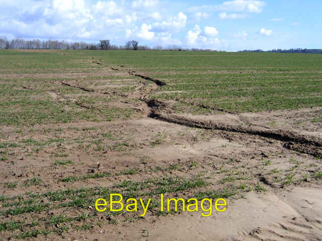 Photo 6x4 Soil erosion, Wigborough, Somerset Lower Stratton\\/ST4415 Dendr c2006