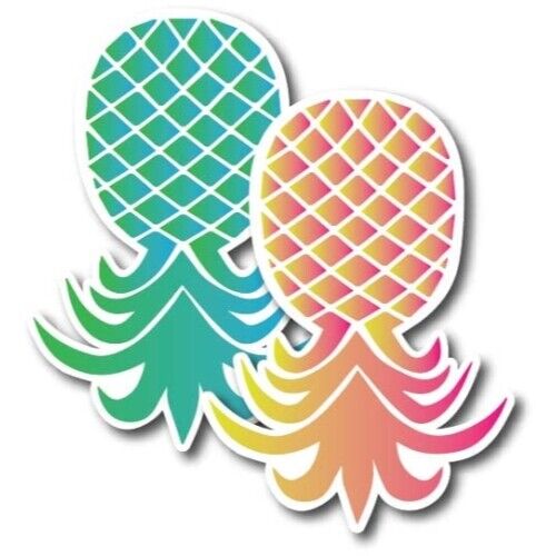 Upside Down Pineapple Magnet Decal, 2 PK, Pnk/Yel and Blu/Grn, 4x6 Inches
