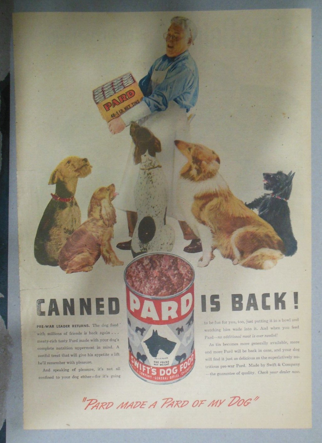 Pard Dog Food Ad: Canned Pard is Back  from 1947 Size: 11 x 15 inches