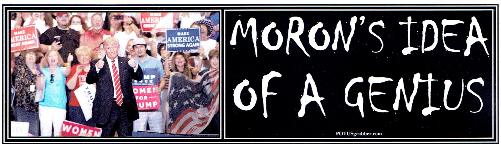 ANTI Trump: MORON'S IDEA OF A GENIUS     DURABLE bumper sticker