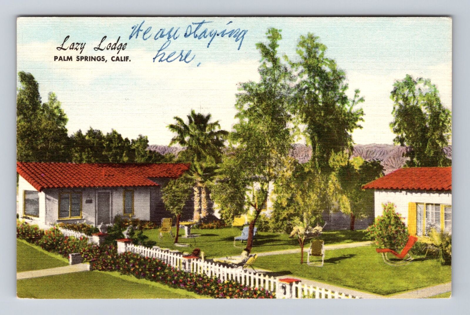 Palm Springs CA-California, Lazy Lodge Advertising Vintage c1954 Postcard