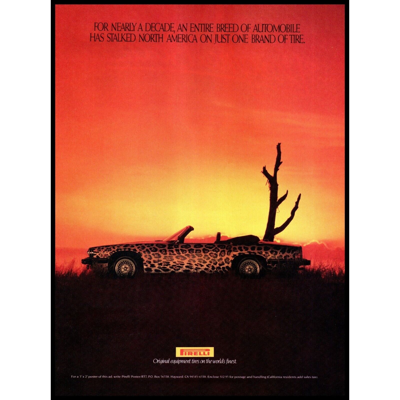 1989 Pirelli Tires Jaguar XJS Convertible Vintage Print Ad Sunset Wall Art Photo