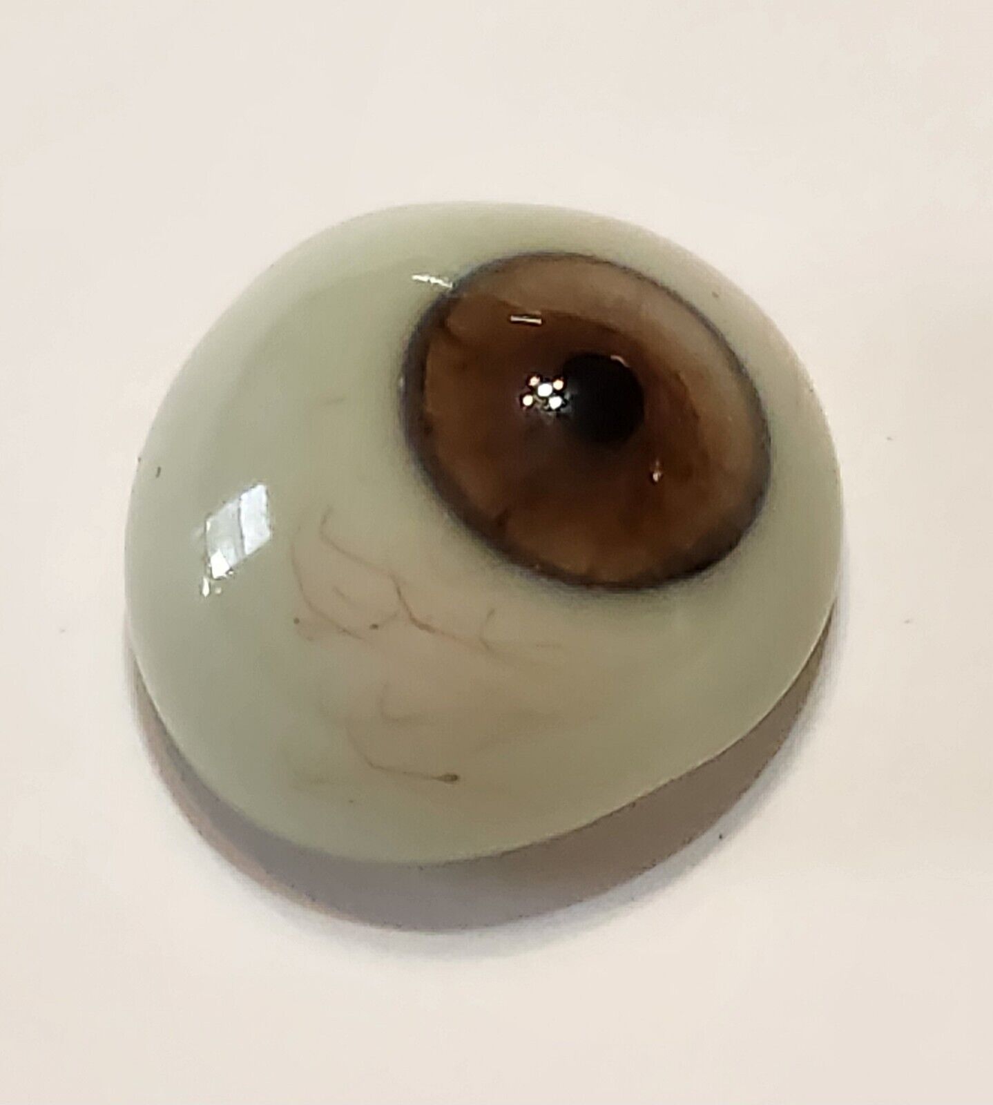 Antique German hand-blown human prosthetic glass eye.  Brown.  Excellent.