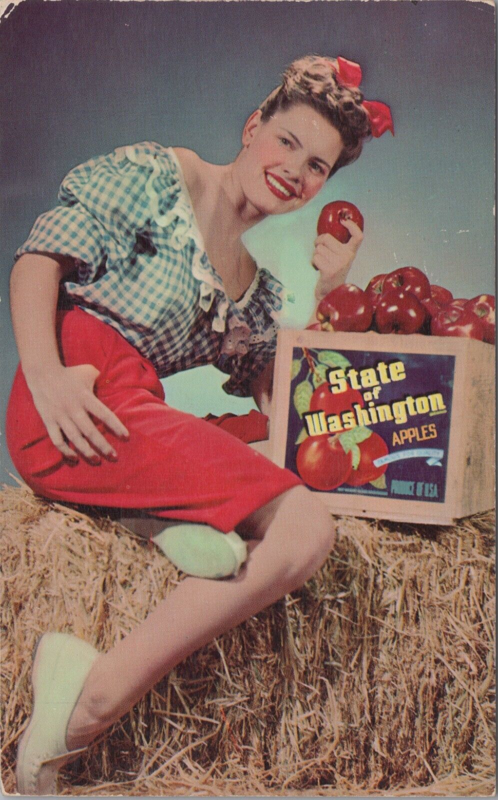 MR ALE Color Picture Postcard State Of Washington Apples Advertising UNP B1839