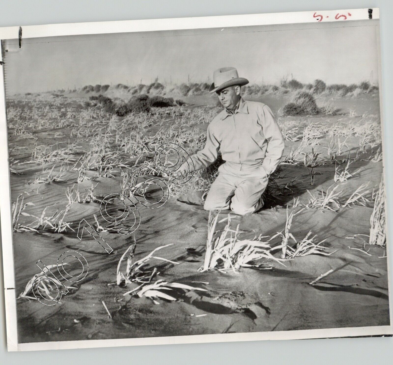 LUBBOCK TEXAS FARMER N McMahan In Field After SANDSTORM Drought 1957 Press Photo