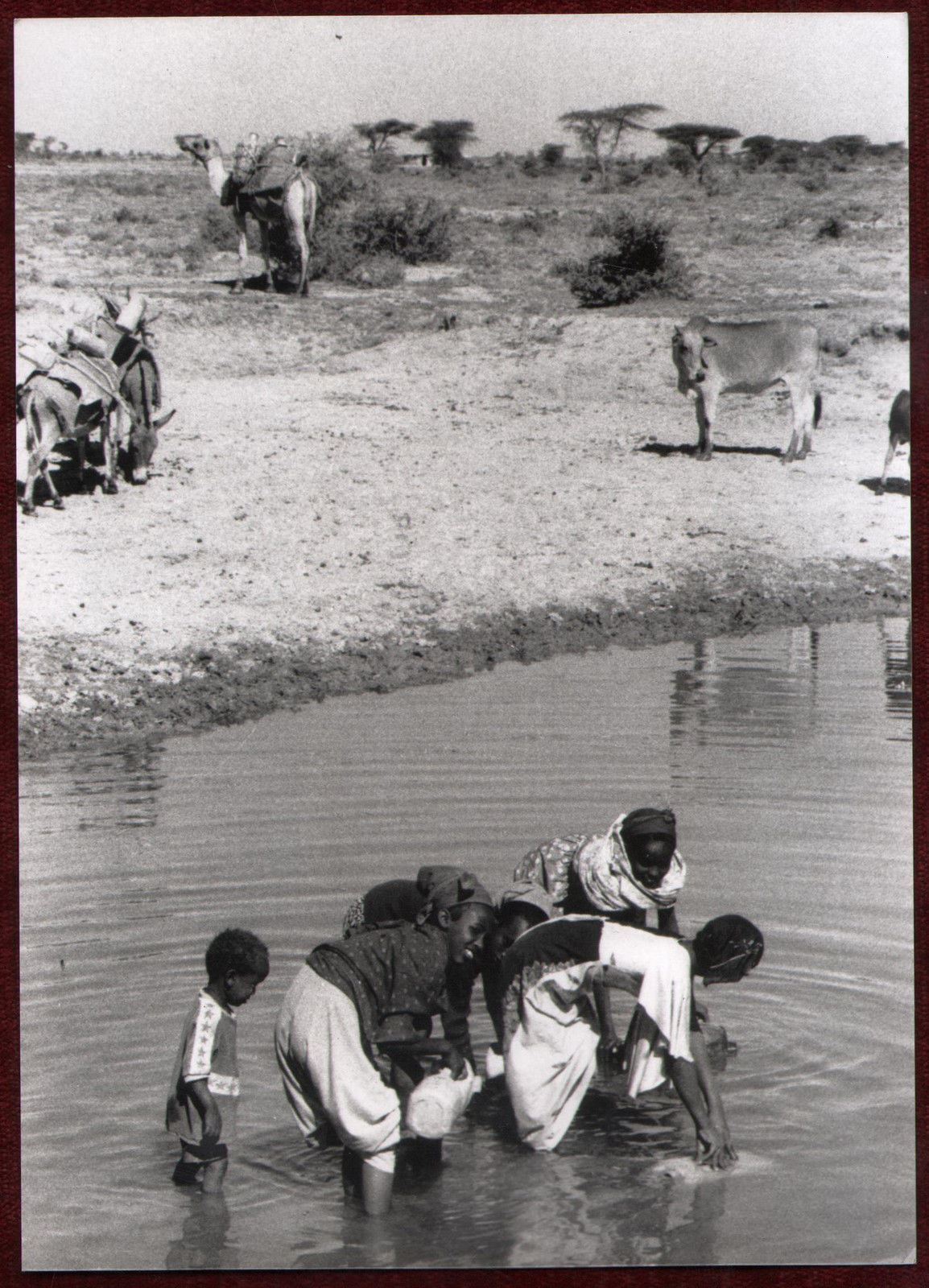 1990 Original Press Photo WHO Environmental Health Somalia Africa Water Heat
