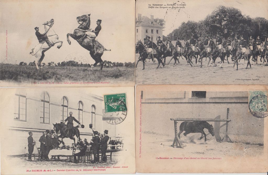 Vintage HORSES HORSE 110 Postcards Pre-1940 (L5934)