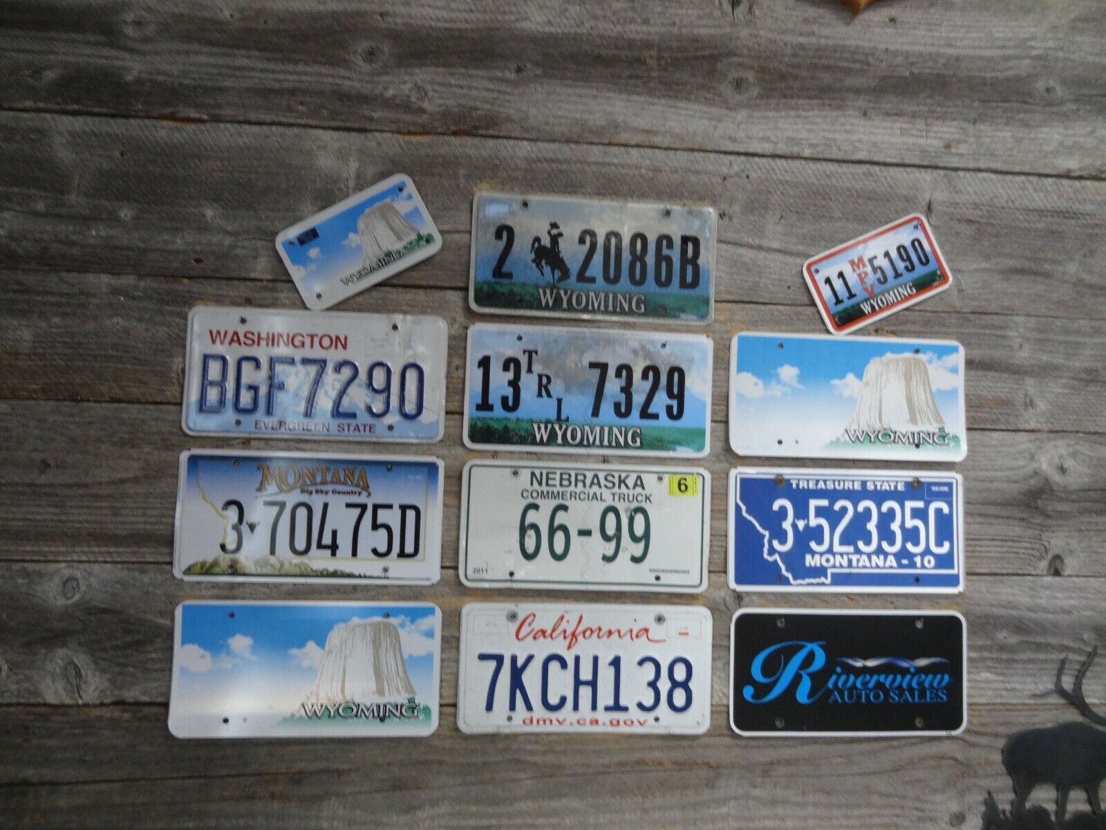 Craft Road Kill License Plates License Plate with damage great for crafts