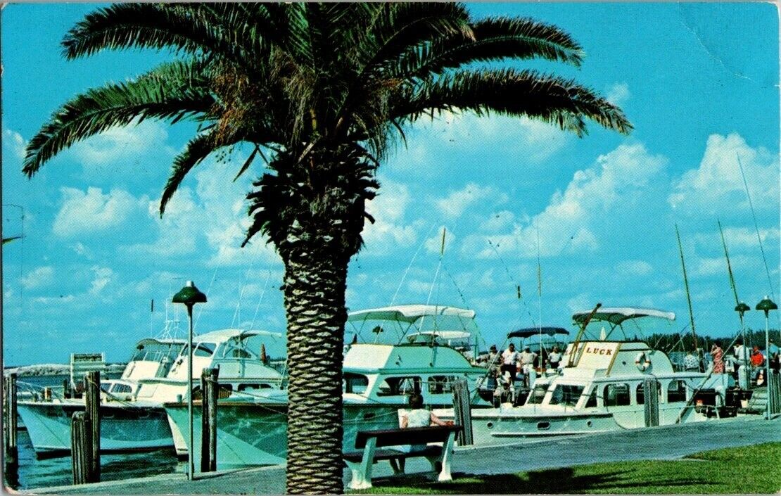 Postcard Fishing Fleet In At Haulover Beach Park Marina Miami Beach Florida A7