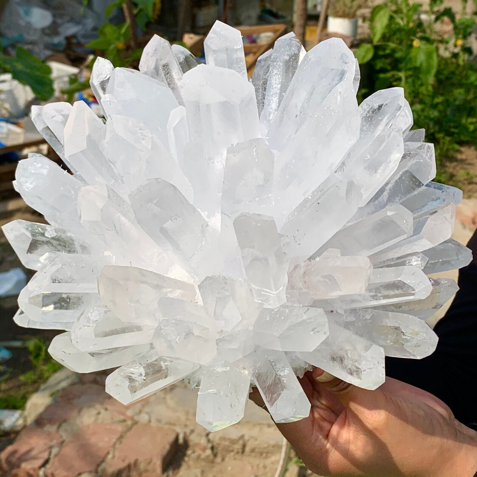 14.6LB Newly discovered white Phantom Quartz Crystal Cluster mineral samples