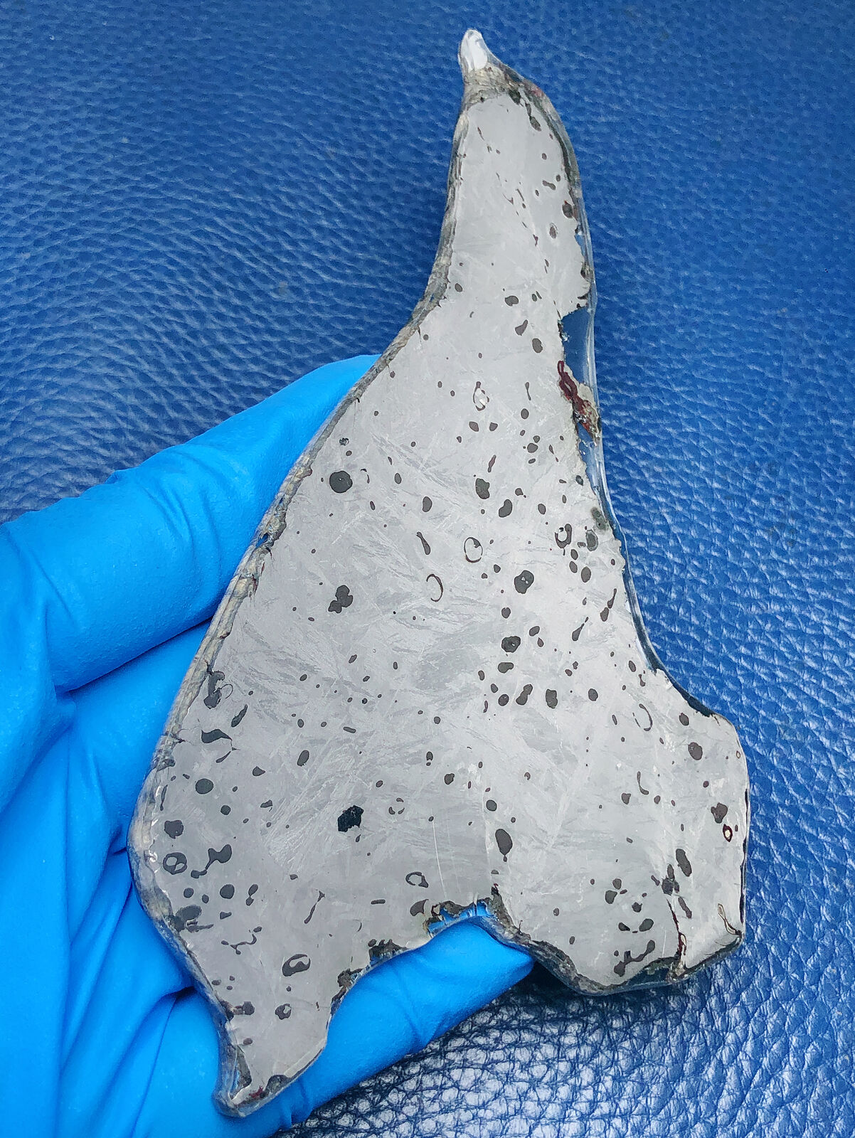 112.1g Beautiful meteorite Dronino Iron meteorite thin slice--from russia