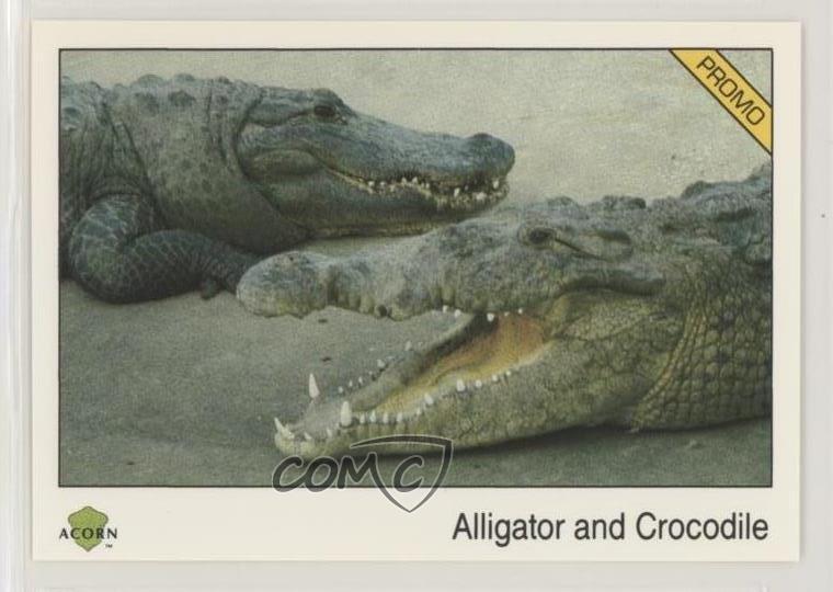 1991 Acorn Biosphere Promo Set Alligator and Crocodile #55 a8x