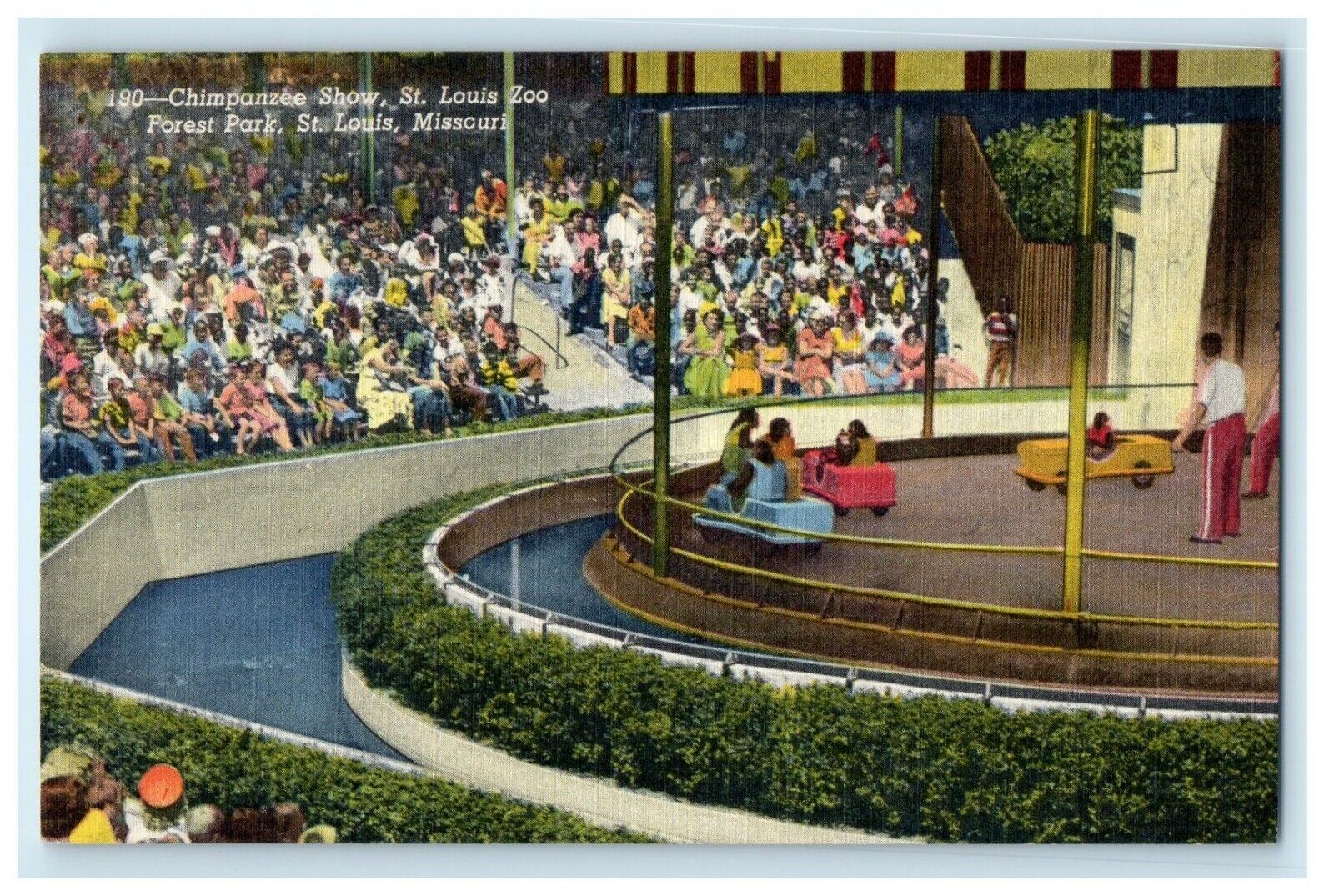1957 Chimpanzee Show Zoo Forest Park St. Louis Missouri MO Vintage Postcard