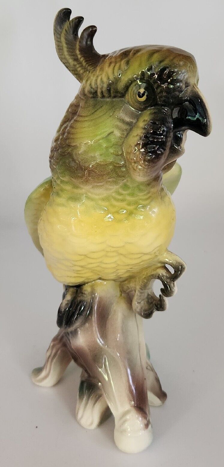 Antique Colorful Cockatoo Parrot Life Like Lg Figurine Porcelain Ceramic Statue