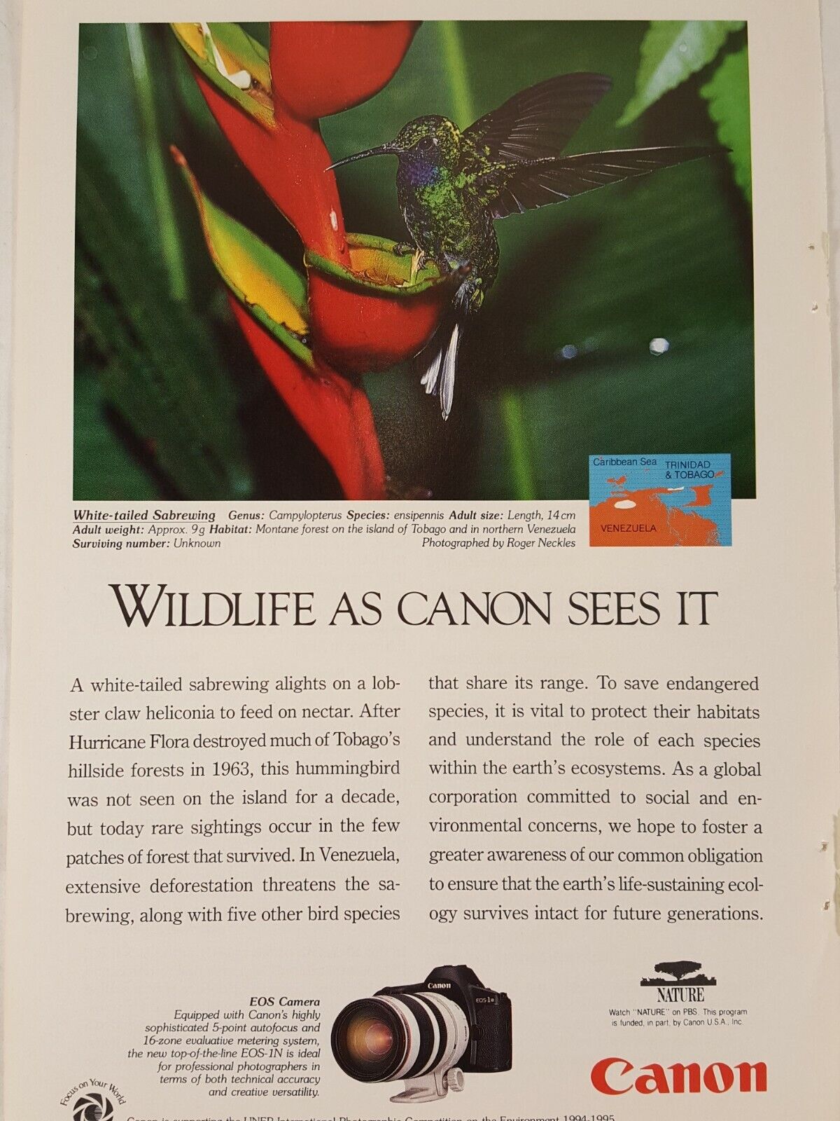 Print Ad Canon EOS Camera Wildlife 1994 NordicTrack from Advertising Nat Geo Mag