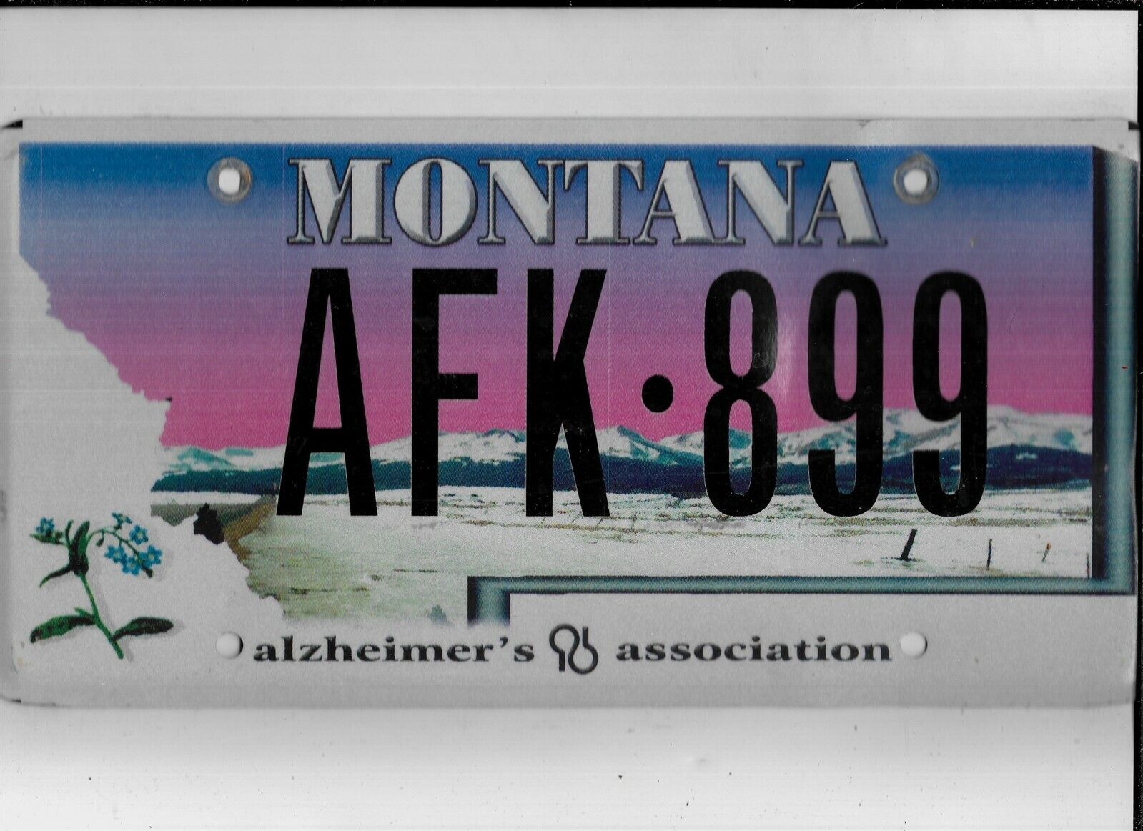 MONTANA license plate 