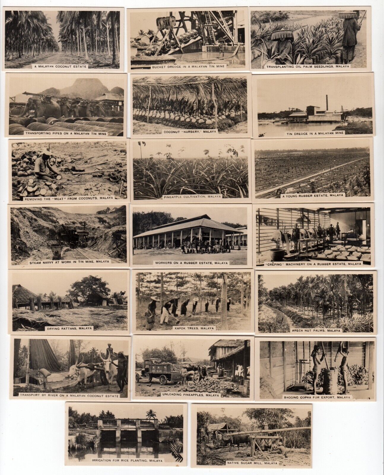 MALAYSIA: Complete Set of 27 Malayan Industries Cards from 1929