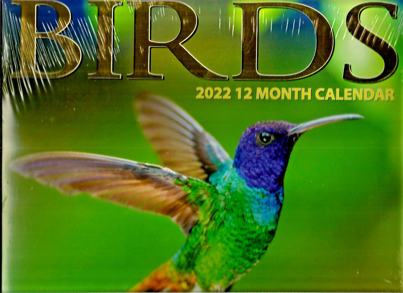 2022 BIRDS WALL CALENDAR LIFE ORGANIZER DAY PLANNER BIRD PIC CRAFT IDEA FREE S/H