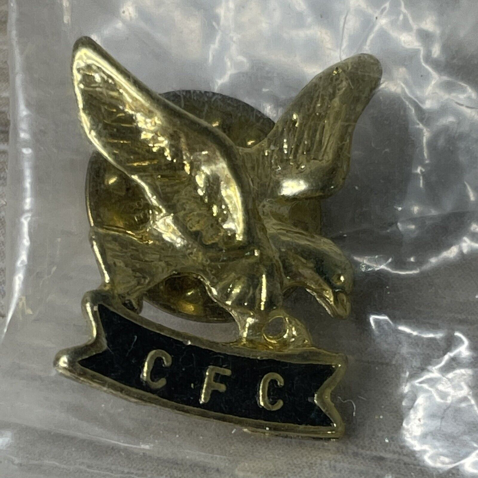 CFC Eagle Gold Tone Vintage Lapel Pin COMBINED FEDERAL CAMPAIGN Vintage Estate 