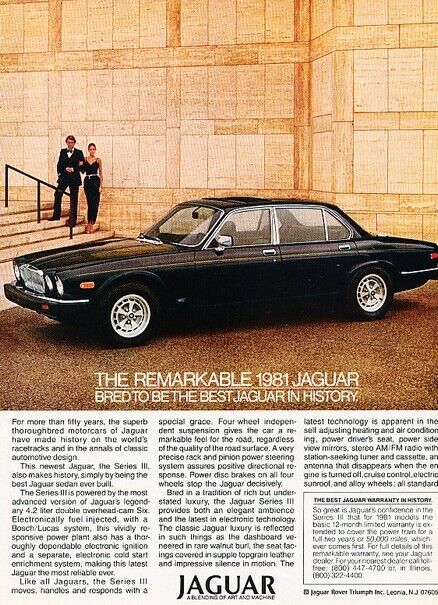 1981 Jaguar XJ6 - Remarkable - Original Advertisement Print Art Car Ad J802