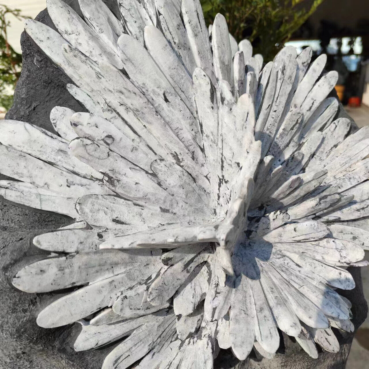 88LB Natural chrysanthemum stone quartz carving aura healing gift