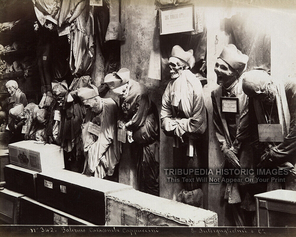  1895 Vintage Photo Skeletons in Convent Catacombs - Bizarre Odd Strange Creepy