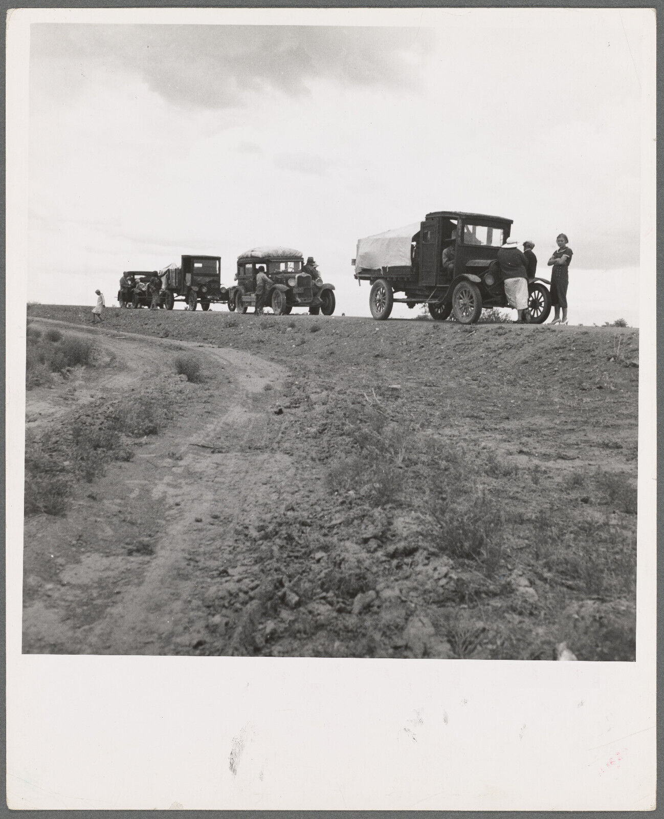 Photo, 1930\'s Drought refugee families from Oklahoma on road Rosewell 57591878