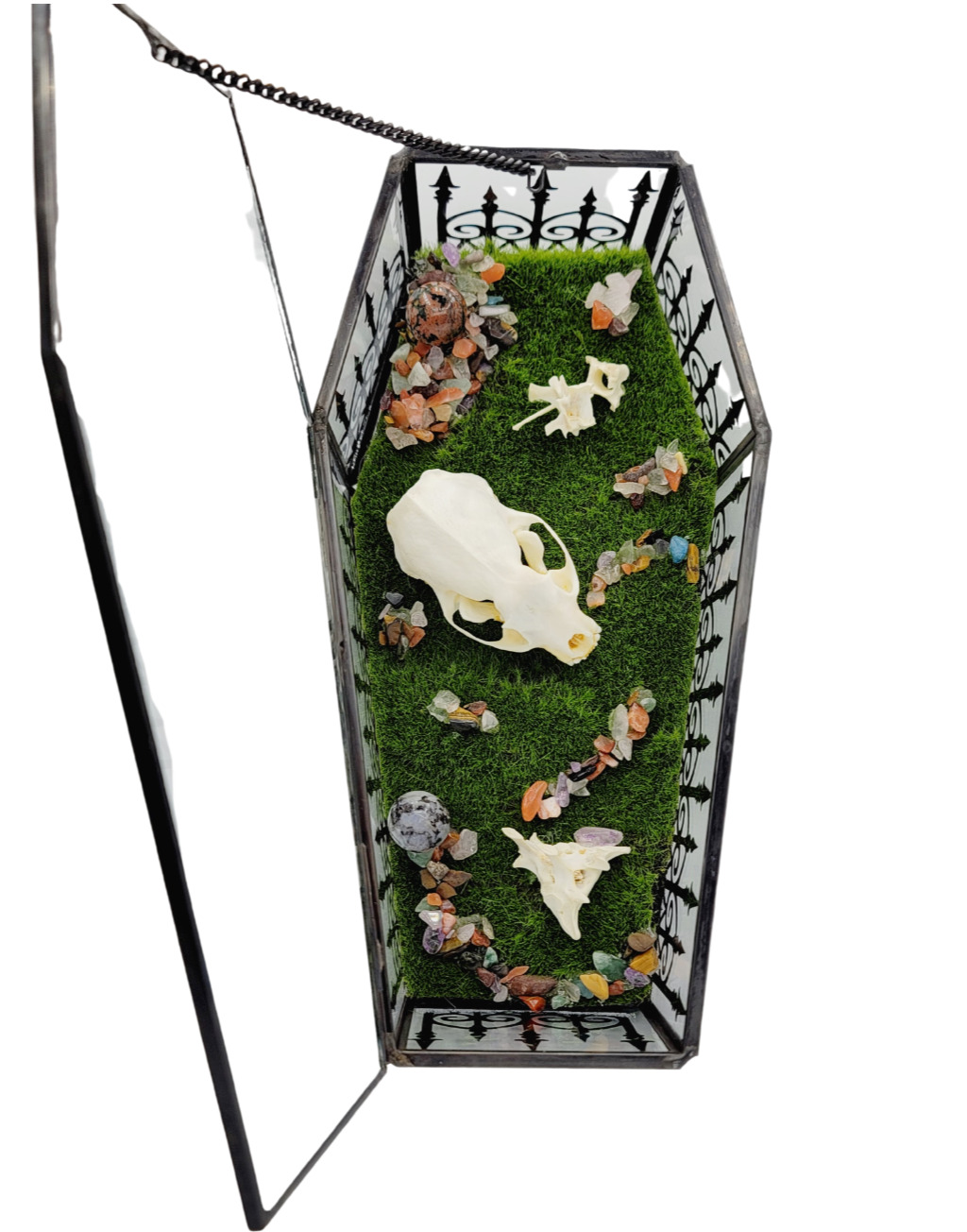 Handmade Glass Coffin Terrarium with Mink Skull and Crystals, Oddity Decor