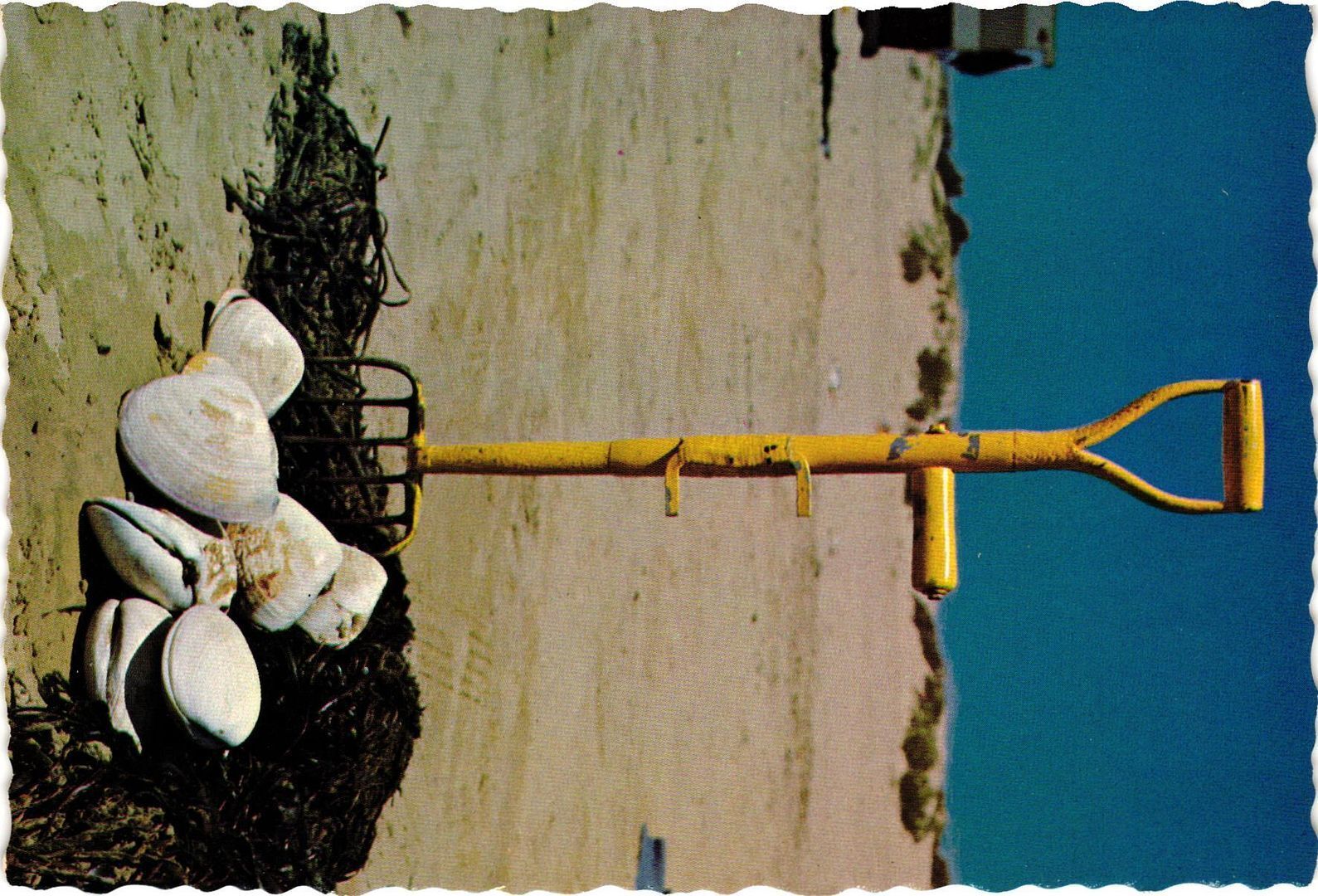 Vintage Postcard 4x6- Pismo and Oceano Beach, CA.