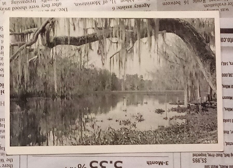1951 RPPC Cross Creek Florida Marjorie Kinon Rawlings Postcard