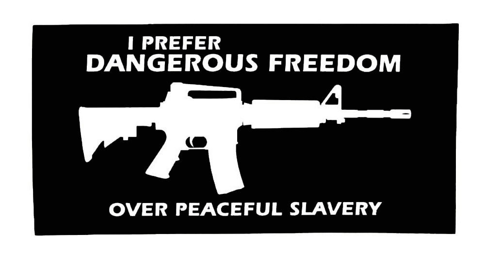 I Prefer Dangerous Freedom Over Peaceful Slavery Vinyl Bumper Sticker 3.75\