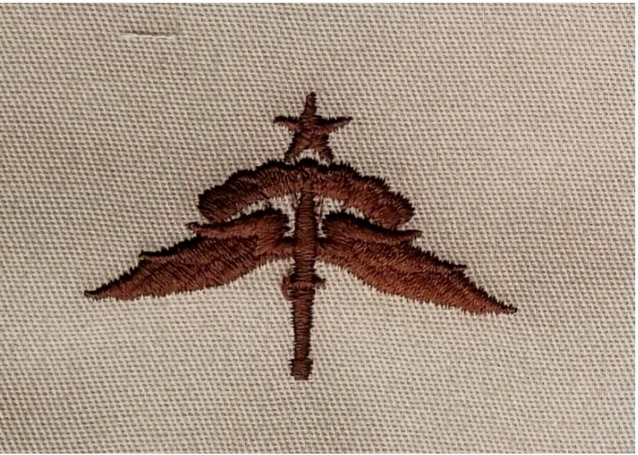 US Army Air Force Freefall HALO Jump Wings Award Desert Tan Sew-On Patch- Senior