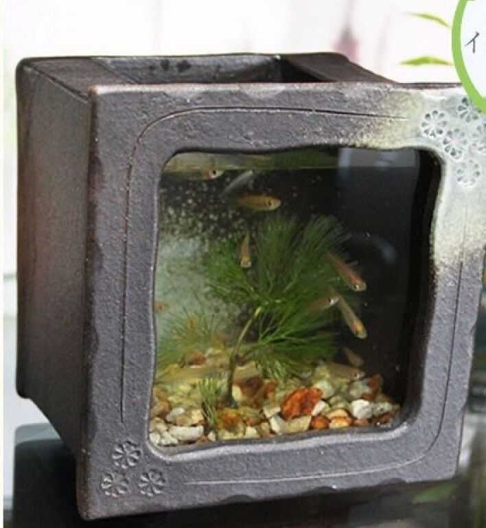 Aquarium fish tank KINGYO goldfish SHIGARAKI yaki and glass made in japan