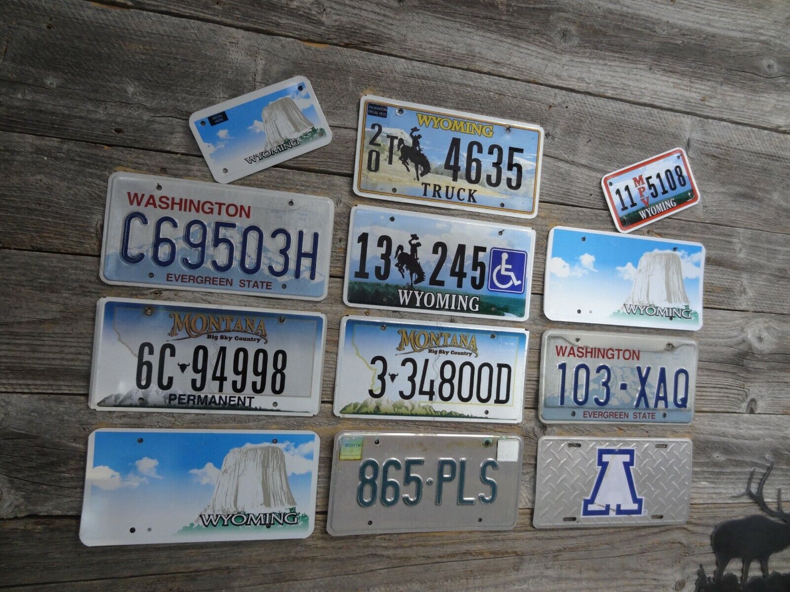 Craft Road Kill License Plates License Plate with damage great for crafts