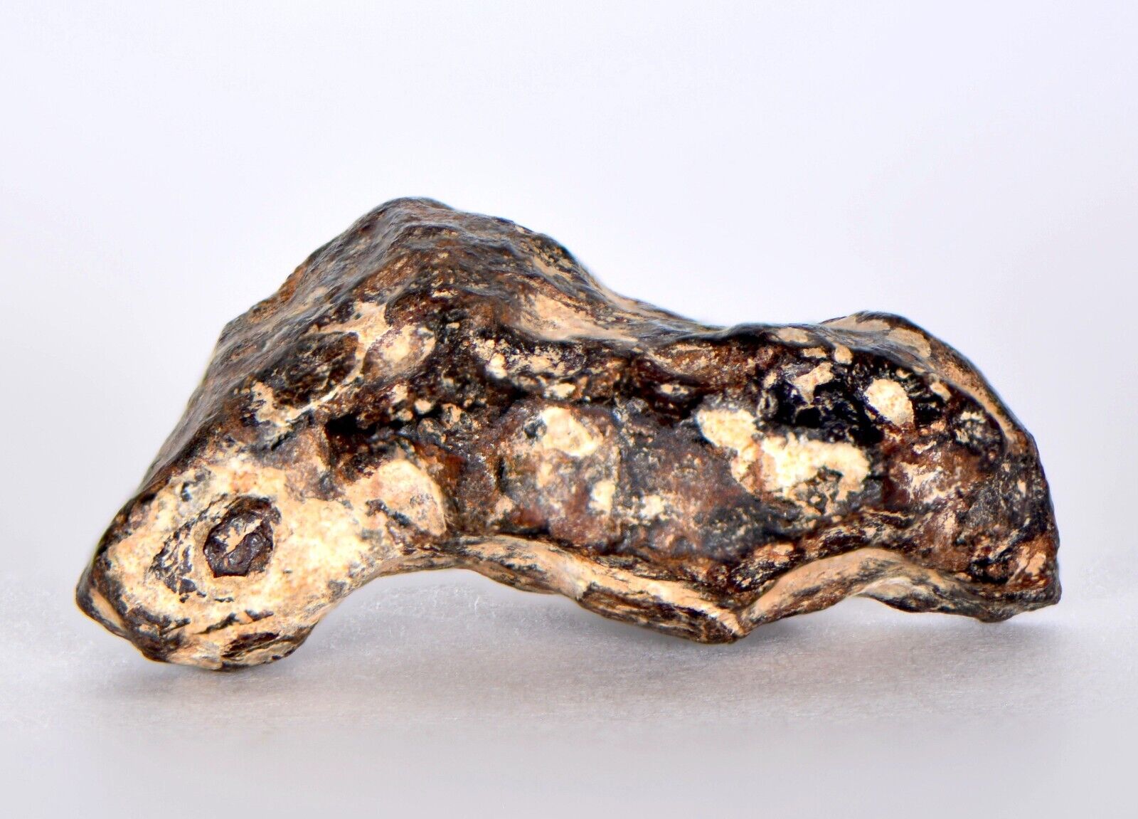 23.38g AGOUDAL Iron Meteorite - IIAB Iron TOP METEORITE