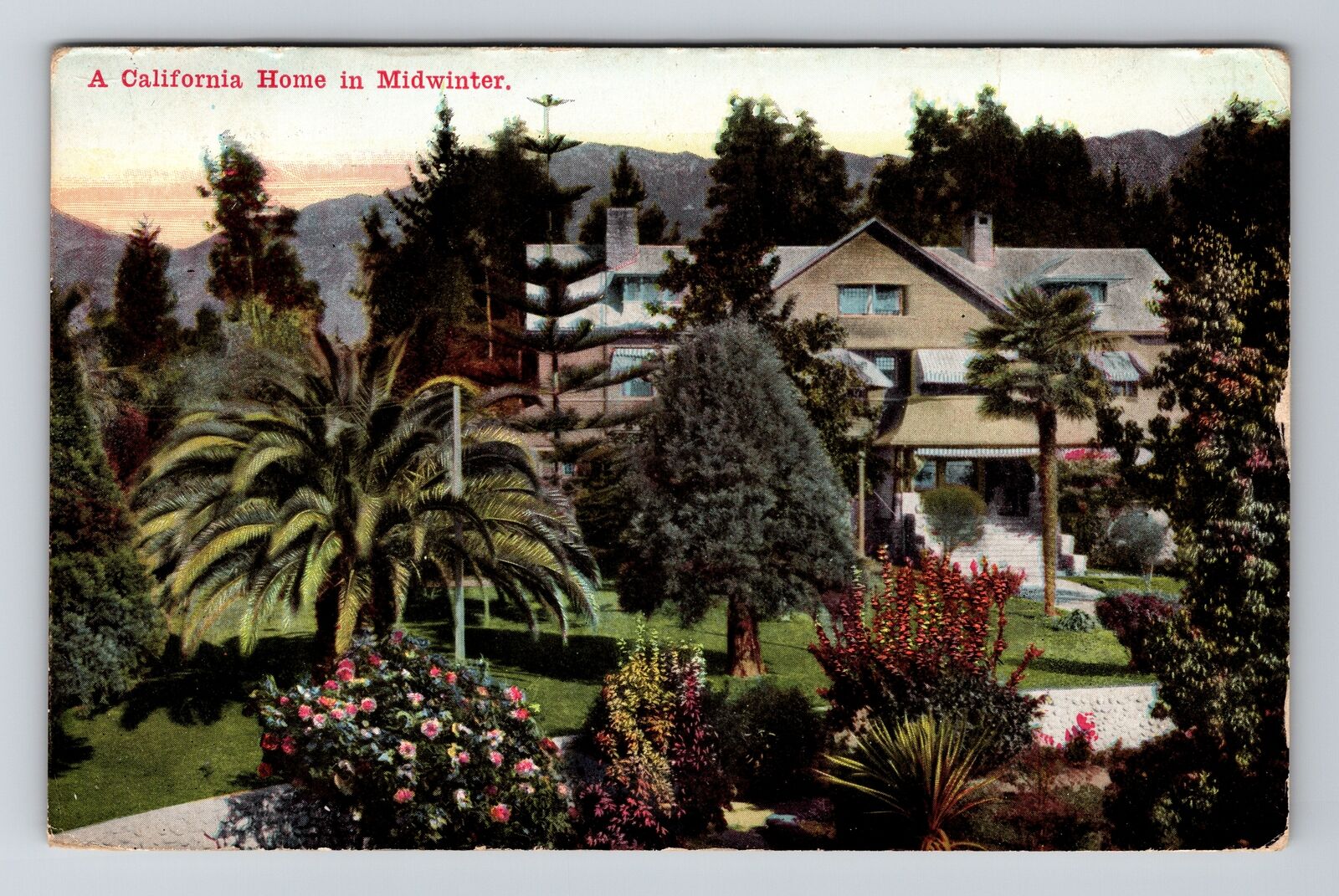 CA-California Scenic Home in Midwinter Large Plants Garden Vintage Postcard