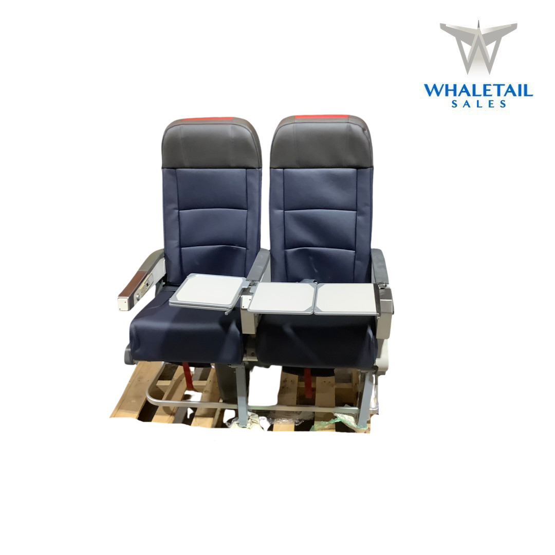American Airlines Row of Two Seats Economy Class with Arm Trays