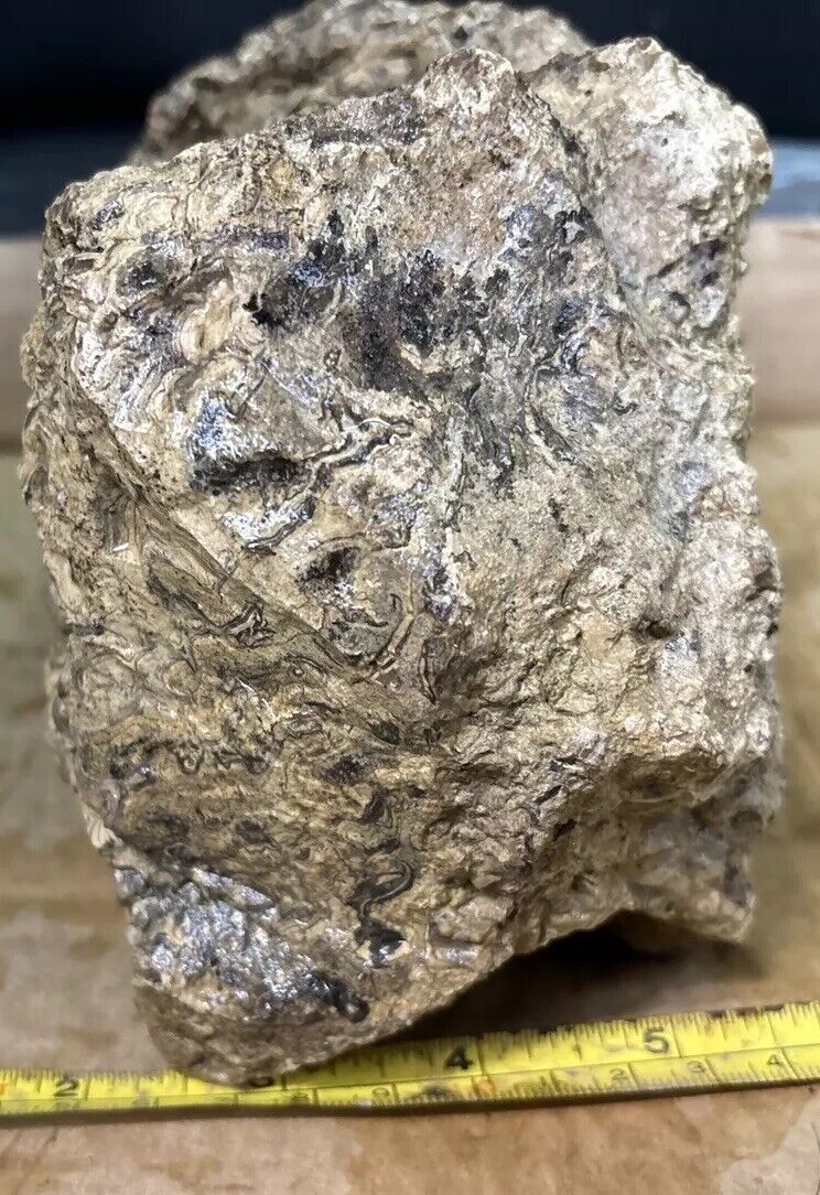 Stromatolite rough