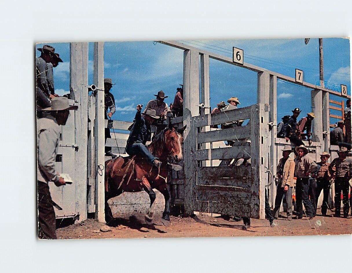 Postcard Cowboys Horse Race, Ya Hoo, Yowie