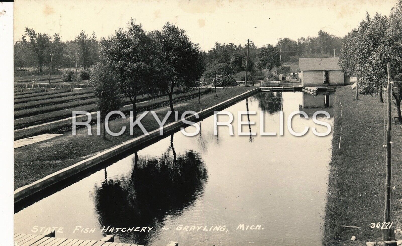 B&W RPPC GRAYLINE MI State Fish Hatchery Vintage Postcard Michigan 1946