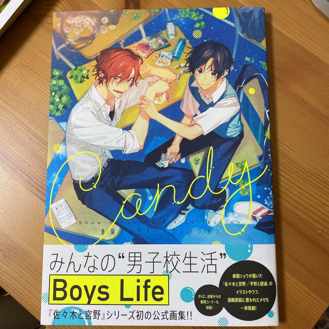 Candy Sho Harusono Art Collection Illustration Book Boys Love Anime Manga Japan 